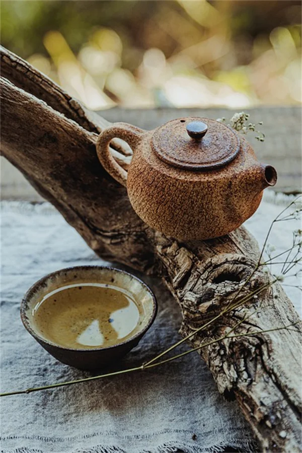 旅行中も観葉植物が元気！私が実践する3つのコツ