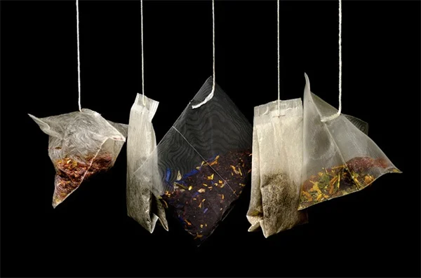 葉っぱの穴で害虫を特定！被害の形で見分ける7つの犯人と対策