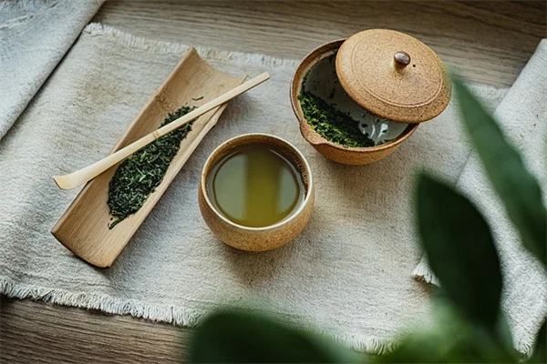 葉っぱの穴で害虫を特定！被害の形で見分ける7つの犯人と対策