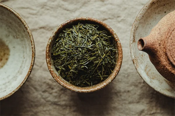 芒刺のある雑草、もう悩まない！見分け方とやっつける究極ガイド